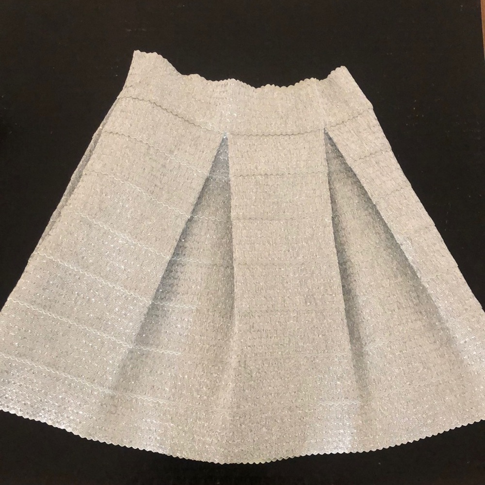 Size Small Devlin Pleated Metallic Skirt